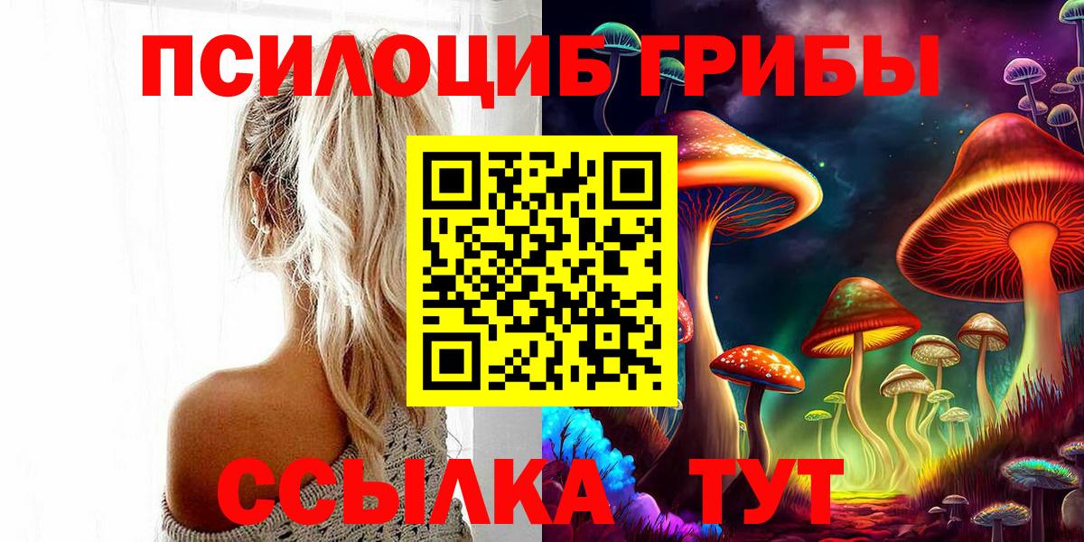 сколько стоит  Псилоцибиновые грибы Psilocybe  Вход с VPN  Рыбинск 