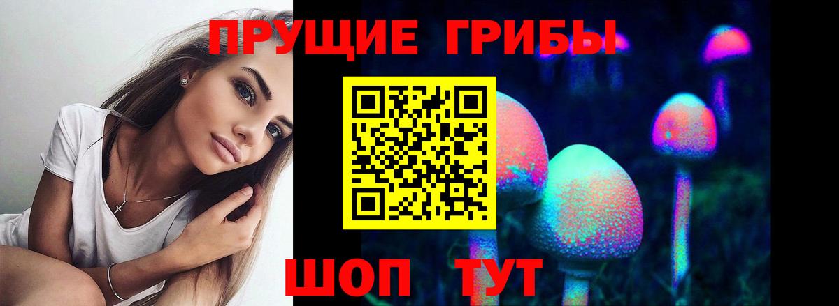 Галлюциногенные грибы Psilocybe Рыбинск